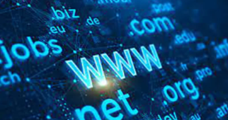 Bu il dövlət qurumlarına 33 yeni domen verilib