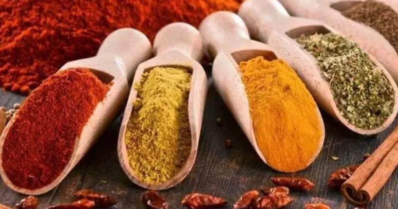 Bir qaşığı kifayətdir Bu üç ədviyyatı süfrənizdən əskik etməyin