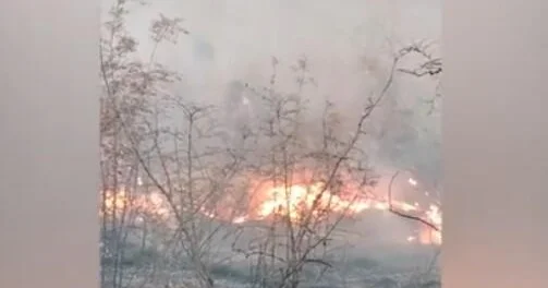 На территории Агдере произошел пожар ВИДЕО