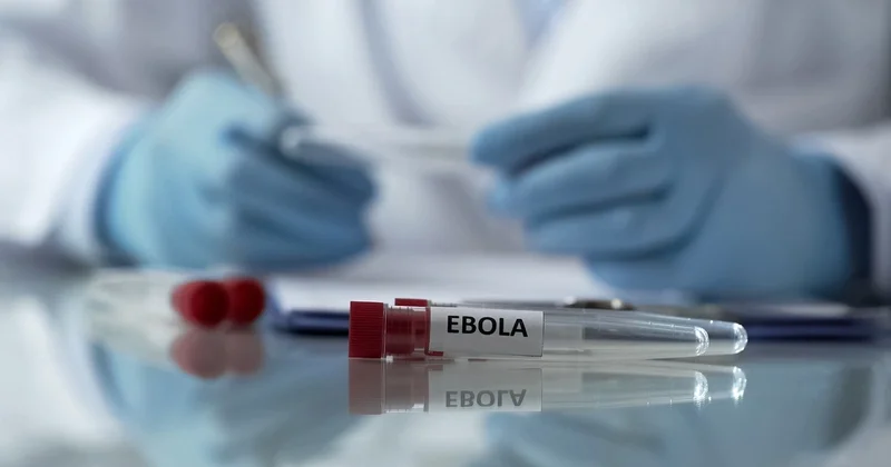 Konqoda Ebola virusu yenidən yayıldı: Ölənlər var