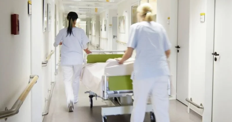 Almaniyada xaricdə qazanılmış və ölkə daxilində tanınmış peşə ixtisaslarının statistikası açıqlanıb