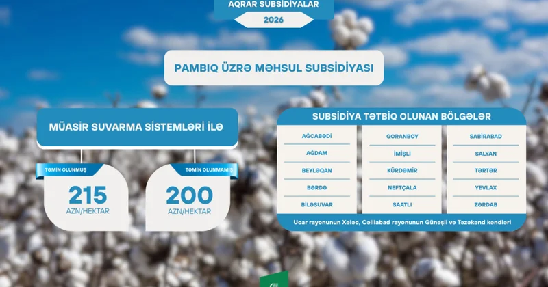 Pambığa görə məhsul subsidiyasının miqdarı artırılıb