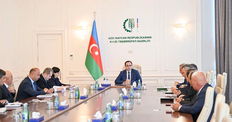 Nazir əməkdaşlarına “Dövlət qulluğunda fərqlənməyə görə” medal və vəsiqələri təqdim etdi Fotolar