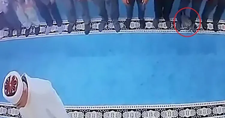 Məsciddə pişiyə təpik atan kişi SAXLANILDI