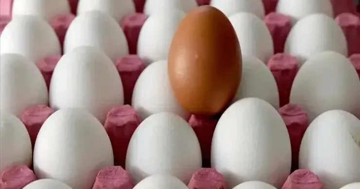 Bu ərzağı istifadə edənlər diqqətli olsun