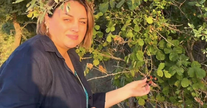 Məmurlar talayanda olar, biz yeyəndə yox? Aparıcıdanistehzalı reaksiya VİDEO