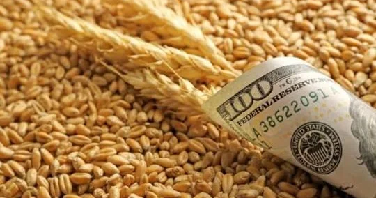 Dünya bazarında buğdanın bahalaşmasının Azərbaycana təsiri olacaqmı?