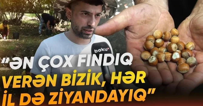 Qax sakinlərinin yığdığı fındıq niyə əllərində qalıb?