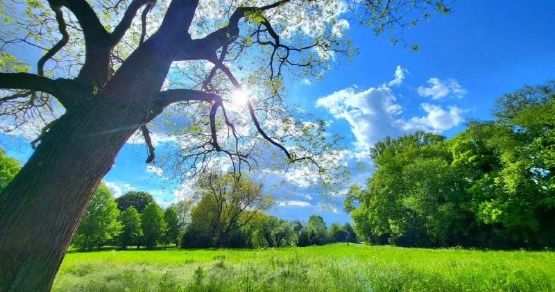 Sabah temperatur 35 dərəcəyə çatacaq