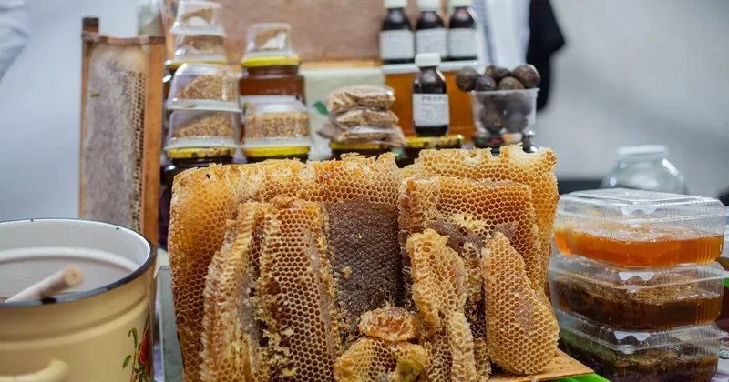 В Баку пройдет 26 я Республиканская ярмарка продажа продукции пчеловодства