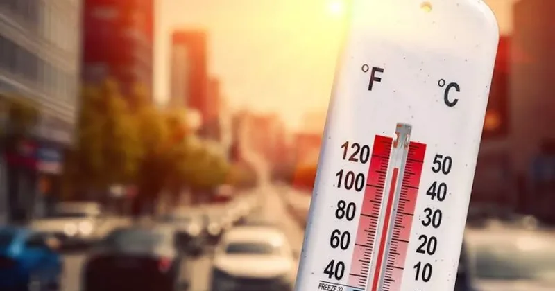 Испания плавится: жара достигла 45,7 °C