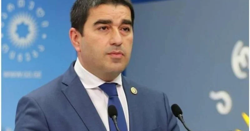 Papuaşvili: Gürcü xalqı bu gün radikalları tarix çayına süpürəcək