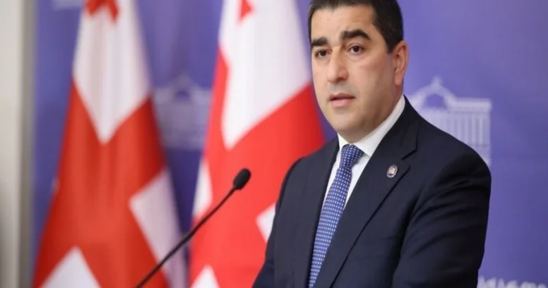 Gürcüstanda ekstremist partiyalar qadağan ediləcək