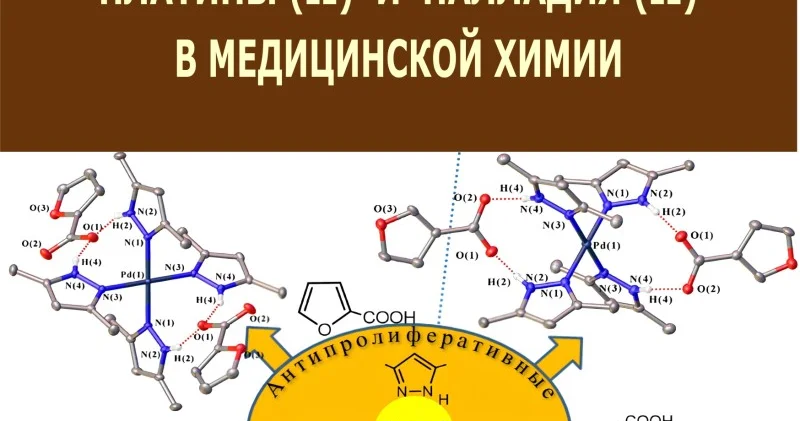 Azərbaycanda tibbi kimya elm sahəsinə həsr olunmuş ilk monoqrafiya