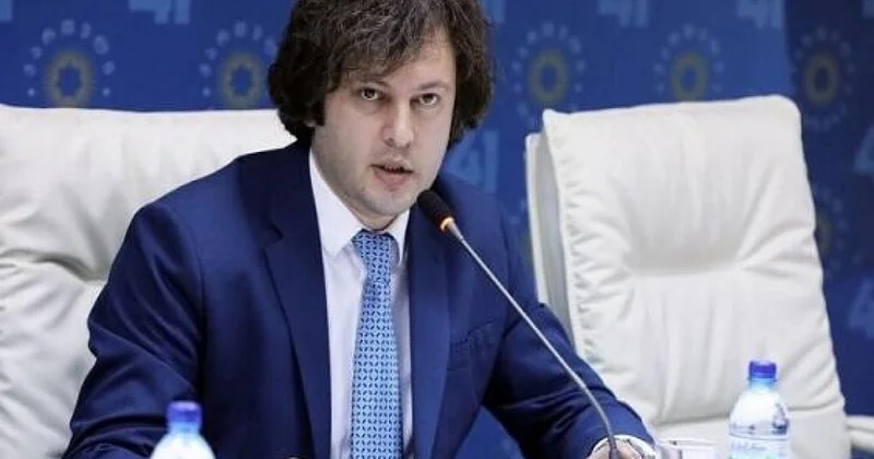 Кобахидзе обвинил в беспорядках посла Евросоюза
