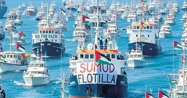 Sumud donanmasının iştirakçıları İstanbulda