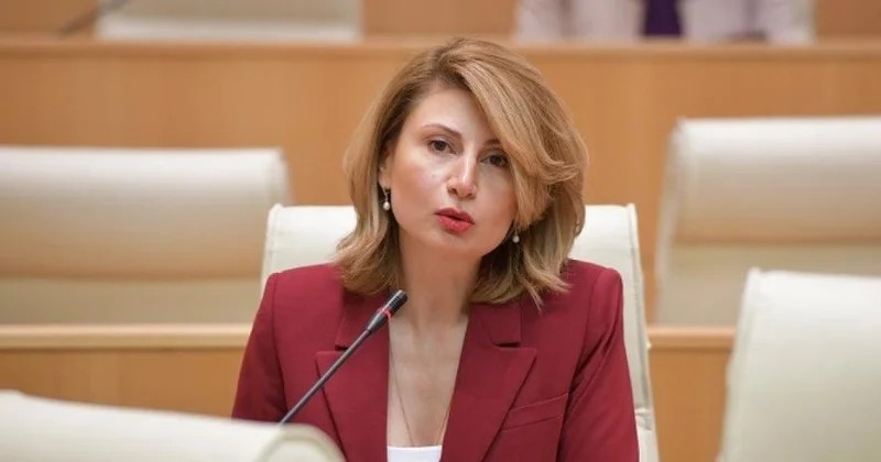 Gürcüstanın ABŞ dakı səfiri Dövlət Departamentinə çağırılıb