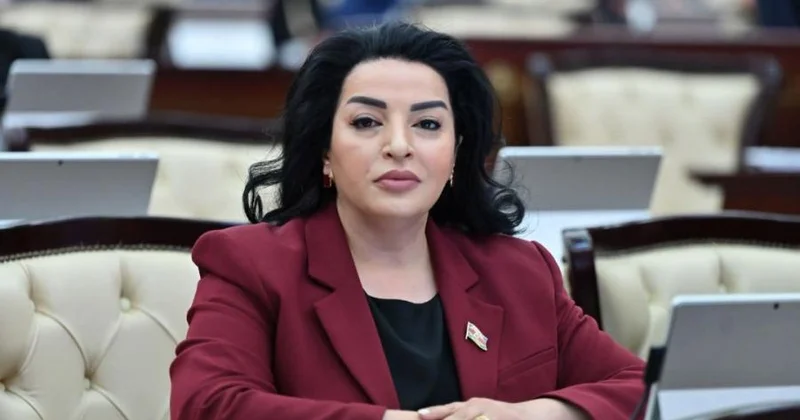 Cəbrayıl yenidən dirçəlir Millət vəkili