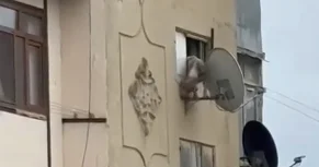 İti pəncərədən atan şəxs polis tərəfindən saxlanıldı VİDEO