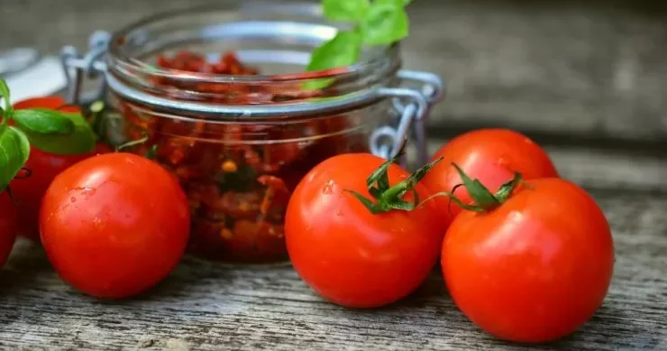 Pomidordakı bu “gizli” maddə qaraciyəri qoruya bilər YENİ ARAŞDIRMA