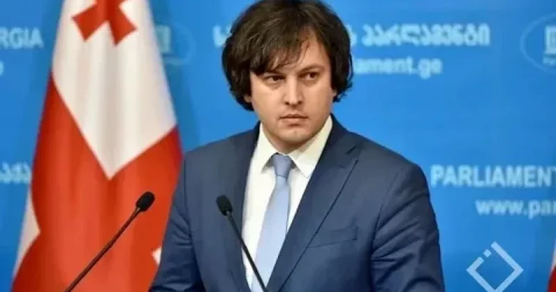 Kobaxidze: Azərbaycanla delimitasiya prosesi dostluq ruhunda davam etdiriləcək