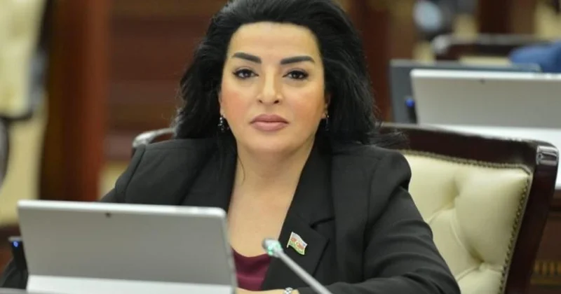 Məqsəd Azərbaycanın iqtisadi və siyasi gücünü daha da artırmaq və yeni inkişaf imkanlarından səmərəli istifadə etməkdir Millət vəkili