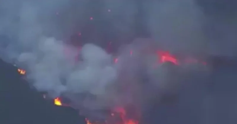 В Калифорнии бушует природный пожар ВИДЕО