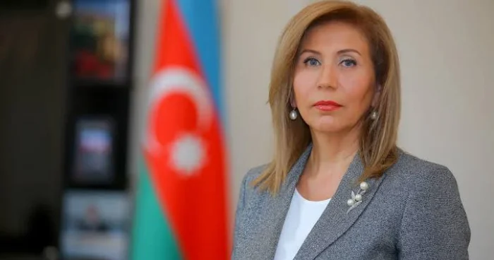 Bahar Muradova: Yeni Nizamnamə İlham Əliyevin YAP rəhbərliyinin davamlılığını təmin edir