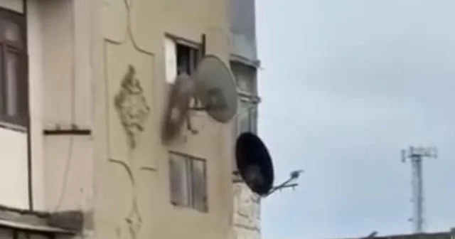 Bakıda dəhşətli görüntü: saxlanılan var