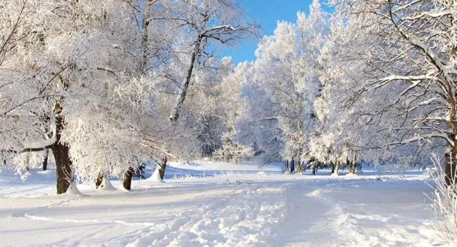 Hava şəraiti ilə bağlı xəbərdarlıq: Qar yağacaq