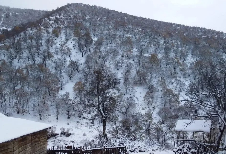 Sabahın hava proqnozu açıqlanıb