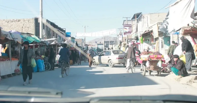 Almaniya əfqan miqrantlara ölkəyə gəlməkdən imtina etmələri üçün maddi vəsait təklif edib