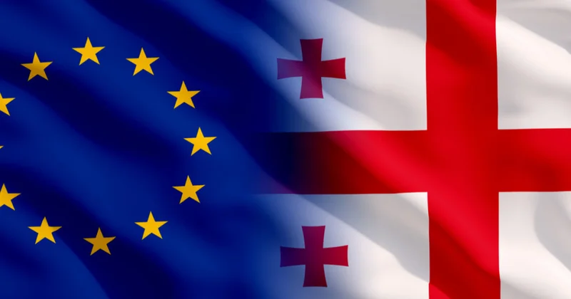 Gürcüstan XİN Arvopa Komissiyasının hesabatını qərəzli adlandırıb