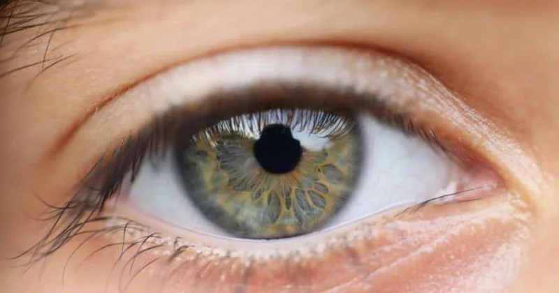 Yeni tədqiqat: Kimlərdə görmə itkisi riski daha çoxdur?