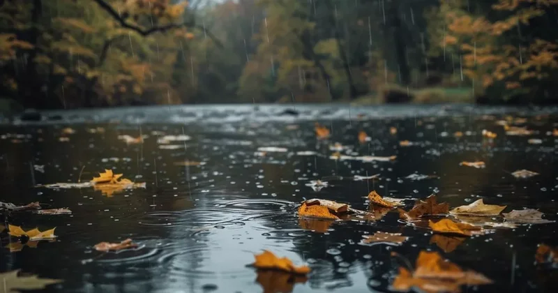 Как долго в Азербайджане продлятся дожди?