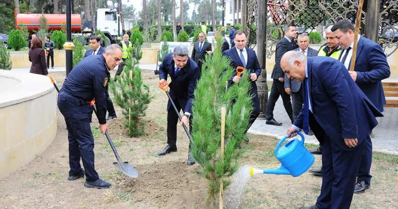 Naftalanda Zəfər Günü ərəfəsində ağacəkmə aksiyası keçirilib