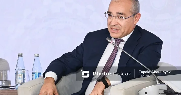 Микаил Джаббаров: Налоговые льготы вывели из тени почти полмиллиона рабочих мест