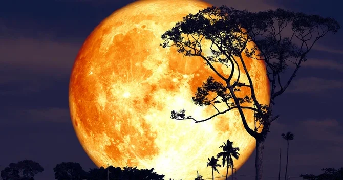 Noyabrın 5 i bu təbiət hadisəsi bürclərə necə təsir GÖSTƏRƏCƏK?