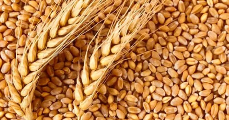 В Армению через Азербайджан пошла пшеница