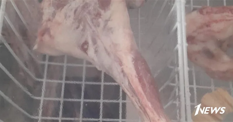 Продолжаются мониторинги по борьбе с незаконным забоем животных ФОТО