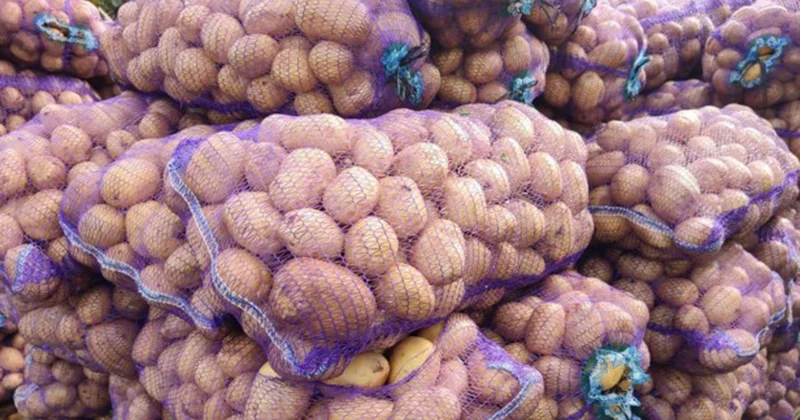 Gürcüstandan gətirilən 24 ton kartof məhv ediləcək