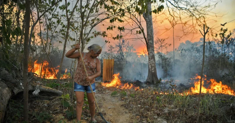 Amazon meşəsində havanın çirklənməsi London və Pekin kimi böyük şəhərləri geridə qoyub