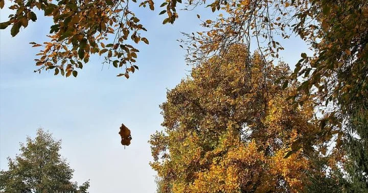 Noyabrın 5 də gözlənilən hava şəraiti açıqlanıb