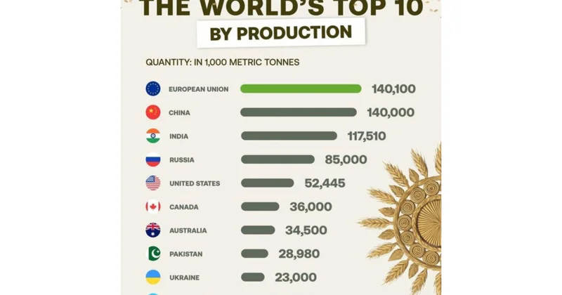 2025 ci ildə dünyanın ən iri buğda istehsalçıları