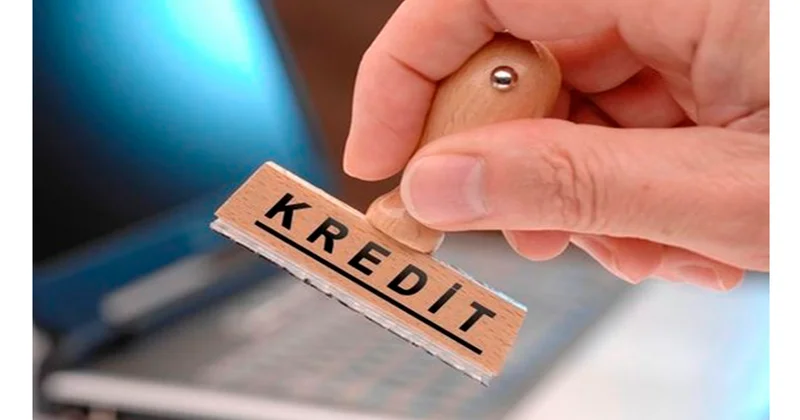 Nazir sahibkaralara ayrılan kreditlərin həcmini açıqladı