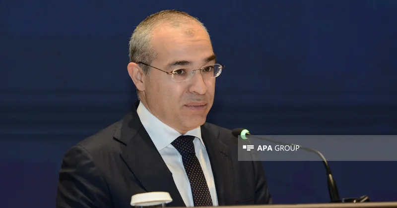 İqtisadiyyat naziri gələn ildən gəlir vergisinin tətbiqi ilə bağlı qərarı əsaslandırıb