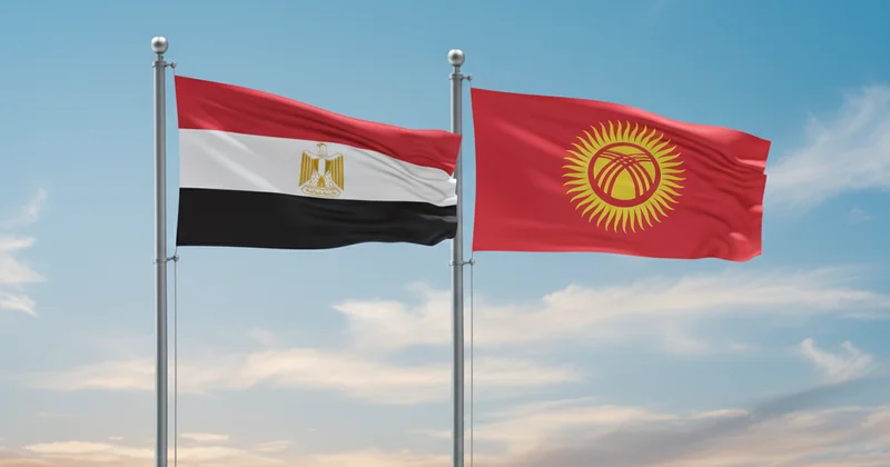 Египет может стать ключом к новым рынкам Садыр Жапаров развивает торговые маршруты Кыргызстана