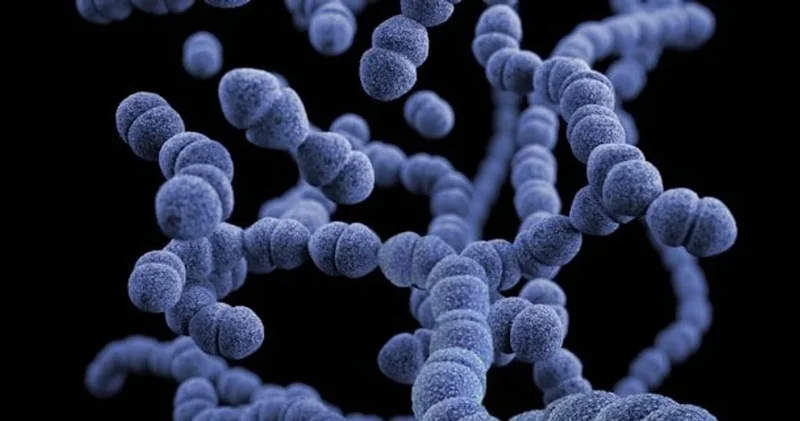 Yeni antibiotik tapılıb: alimlər 50 il əvvəl kəşf edilmiş maddədə gizli potensial aşkarlayıb