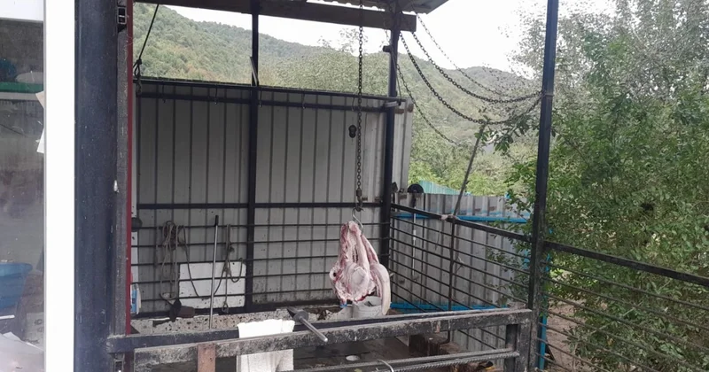 Qanunsuz heyvan kəsiminə qarşı monitorinqlər davam etdirilir FOTOLAR