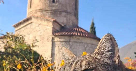 AĞDƏRƏDƏKİ SUQOVUŞAN VƏNGİ